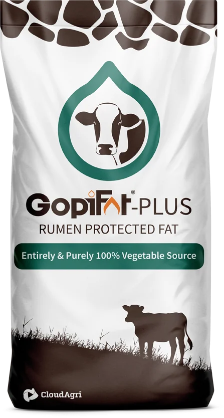 GopiFat-Plus