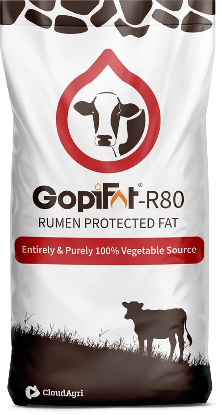 GopiFat-R80