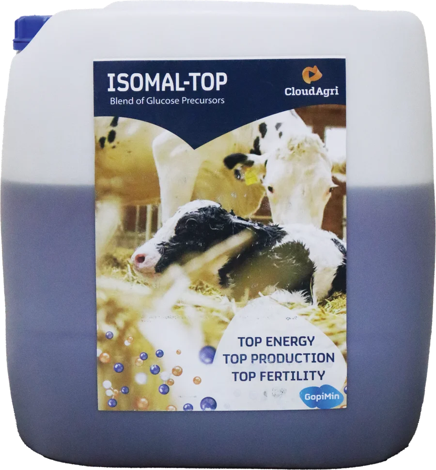 Isomal-Top